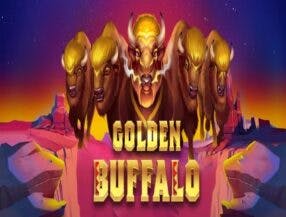 ufc 296 ao vivo